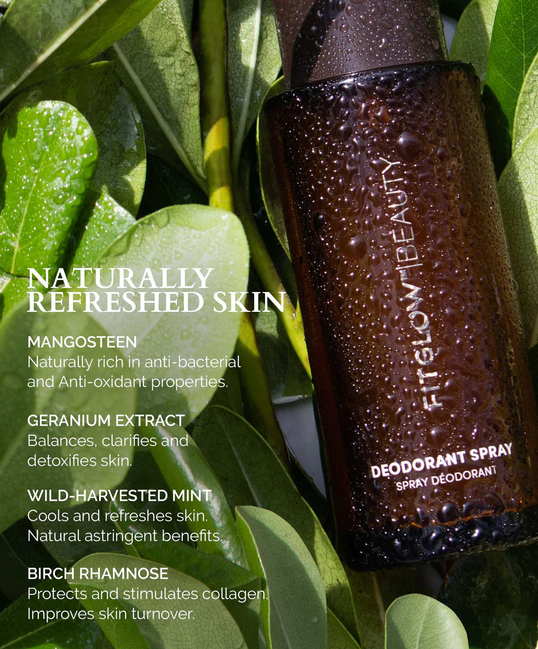 DEODORANT SPRAY features